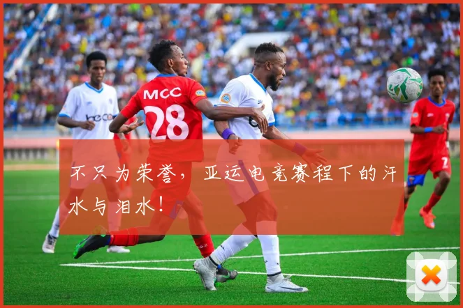 不只为荣誉，亚运电竞赛程下的汗水与泪水！