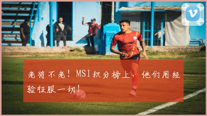 老将不老!MSI积分榜上,他们用经验征服一切!