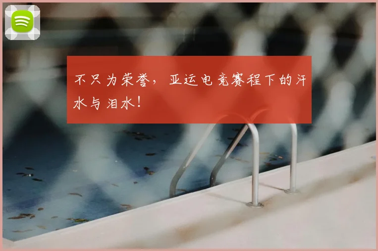 不只为荣誉,亚运电竞赛程下的汗水与泪水!