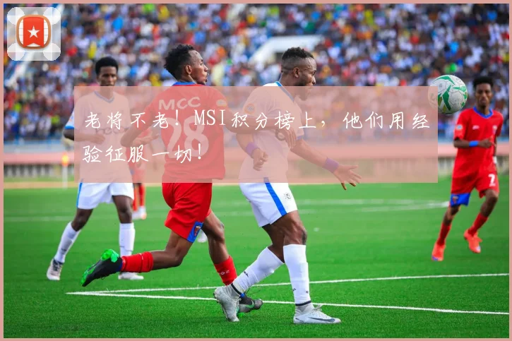 老将不老!MSI积分榜上,他们用经验征服一切!